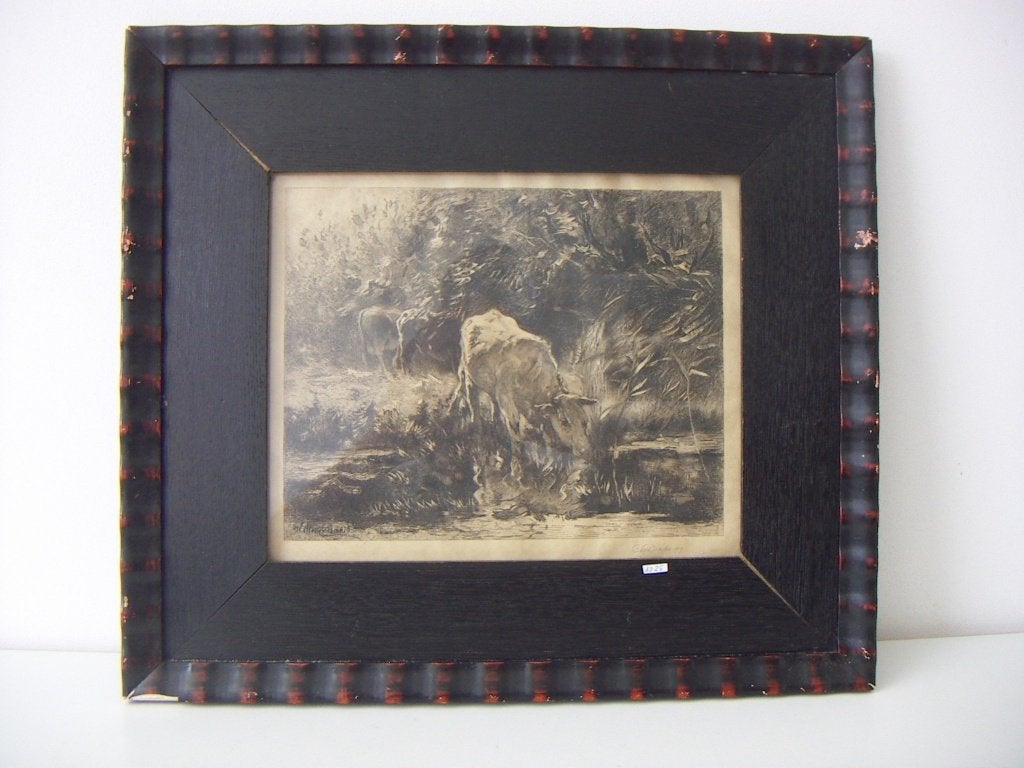 C.L. Dake 1857-1918 ets Zomerweelde. Drinkende koe ., Antiek en Kunst, Ingelijst, 1800 - 1899, Ets, Ophalen of Verzenden