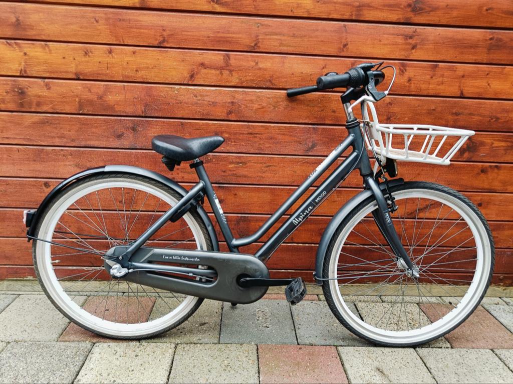 Prachtige Zgan Alpina Mood Transporter 26 inch meisjes fiets, Fietsen en Brommers, Fietsen | Meisjes, Terugtraprem, Versnellingen