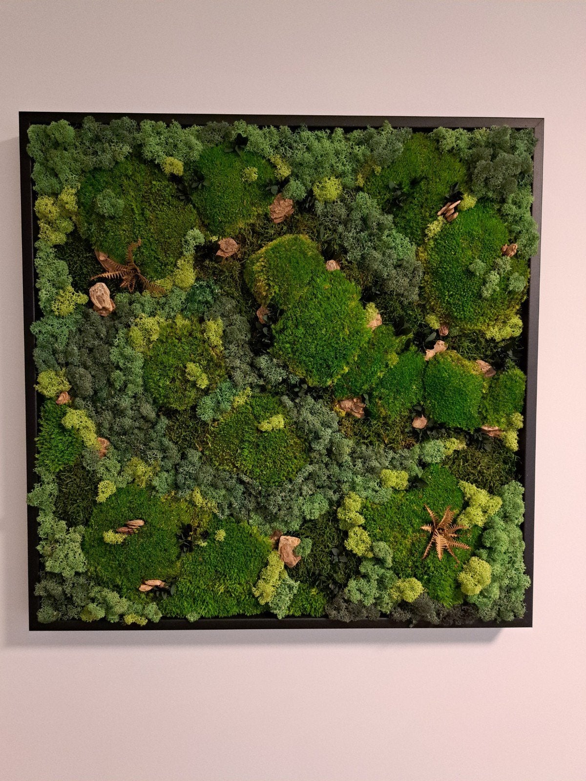 Mosschilderij 65 x 65 cm, Ophalen, Nieuw