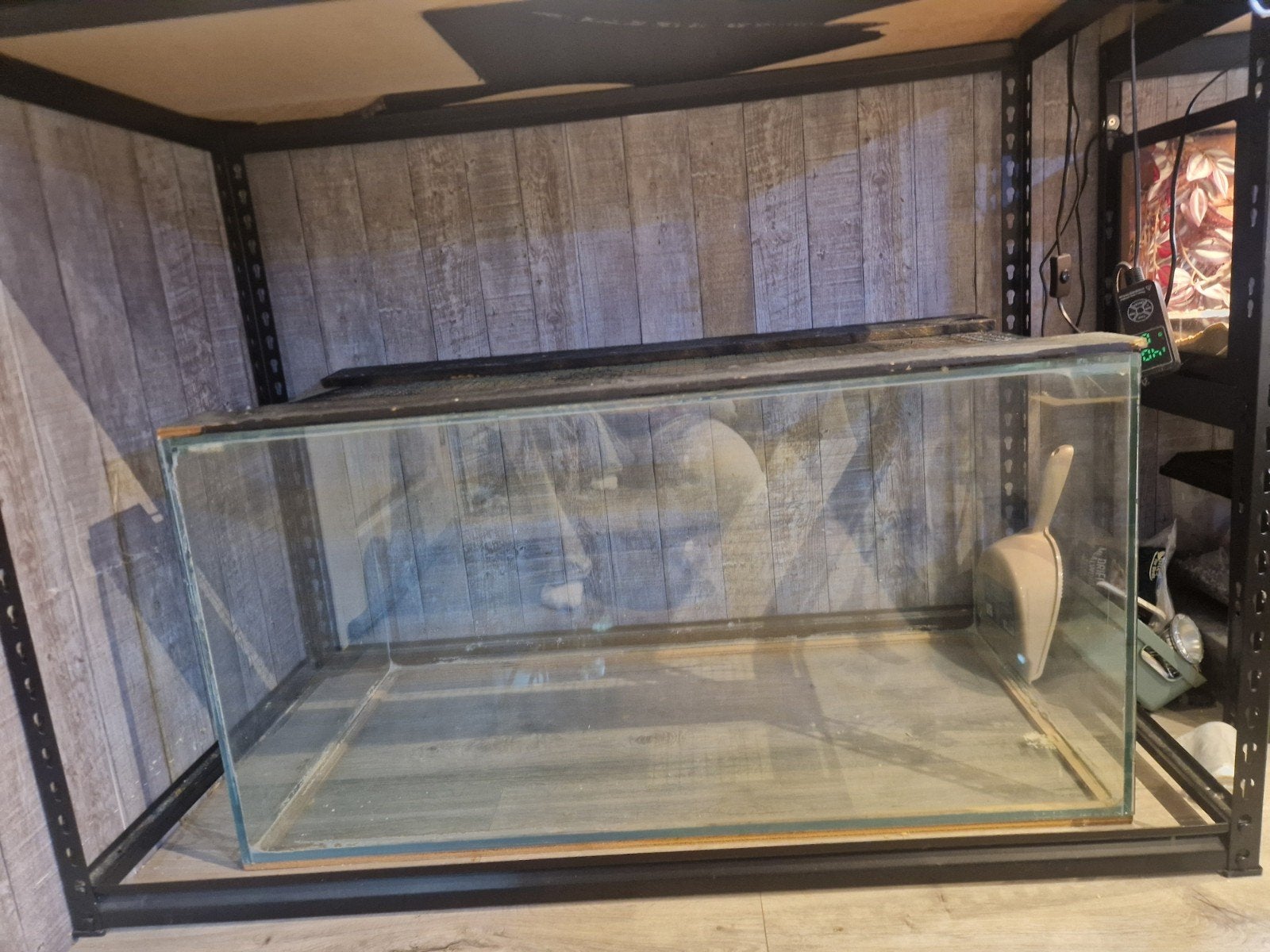 groot terrarium, Dieren en Toebehoren, Knaagdieren en Konijnen | Hokken en Kooien, Gebruikt, Muis, Hok, 75 tot 110 cm
