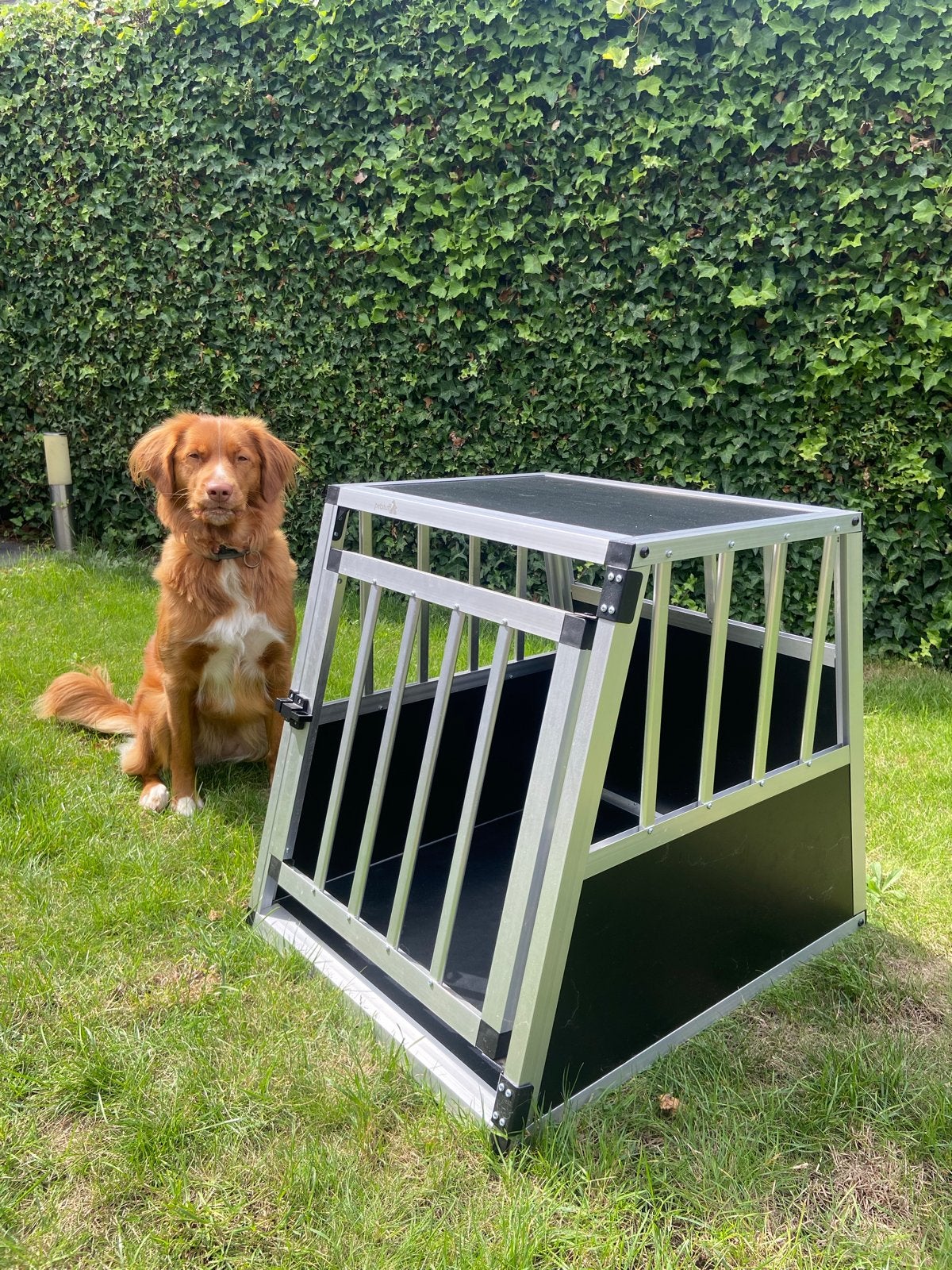 Petstuff honden transport bench / box voor in de auto, Ophalen, Zo goed als nieuw