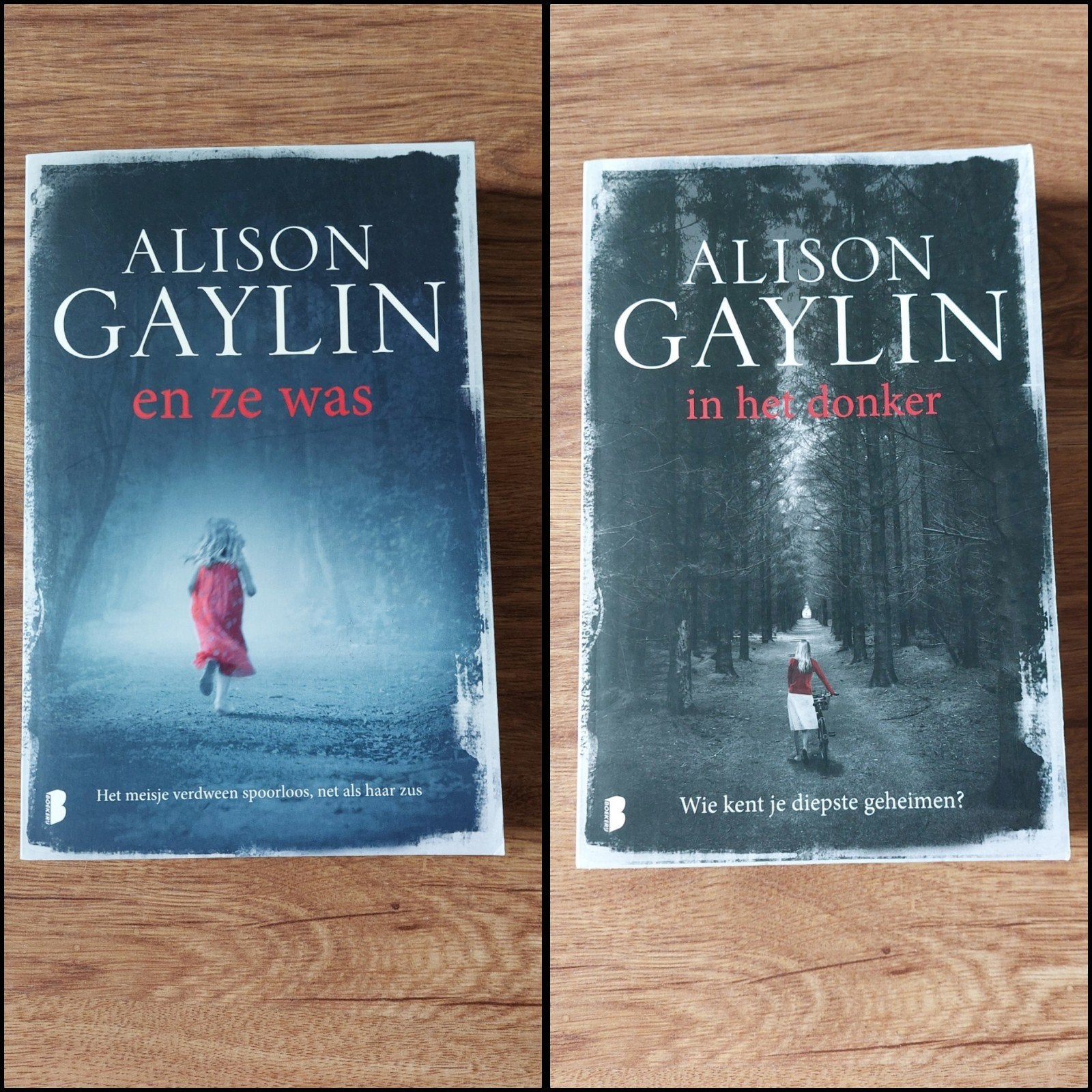 Thrillers van Alison Gaylin • o.a. En ze was, Ophalen of Verzenden, Zo goed als nieuw, Alison Gaylin