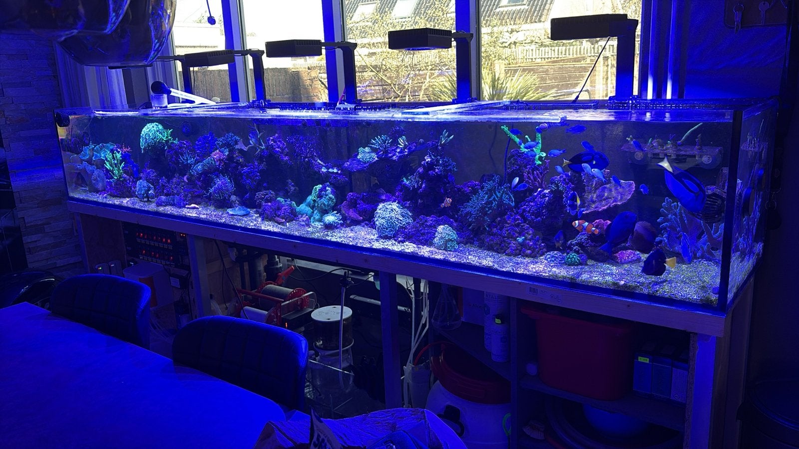 Aquaruim, Ophalen, Zo goed als nieuw, Leeg aquarium