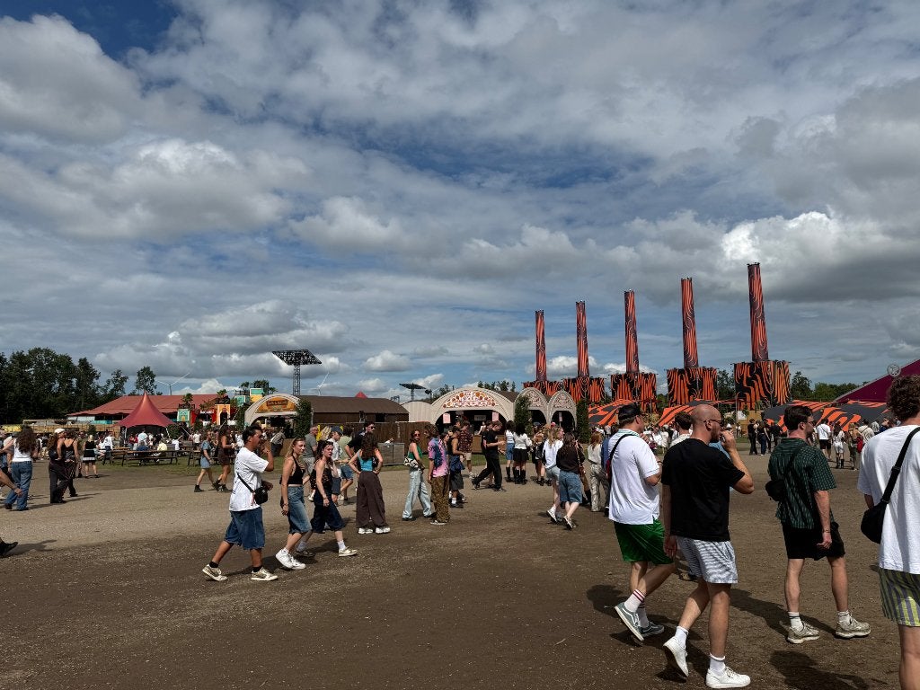 Gezocht: kaartje lowlands, Eén persoon