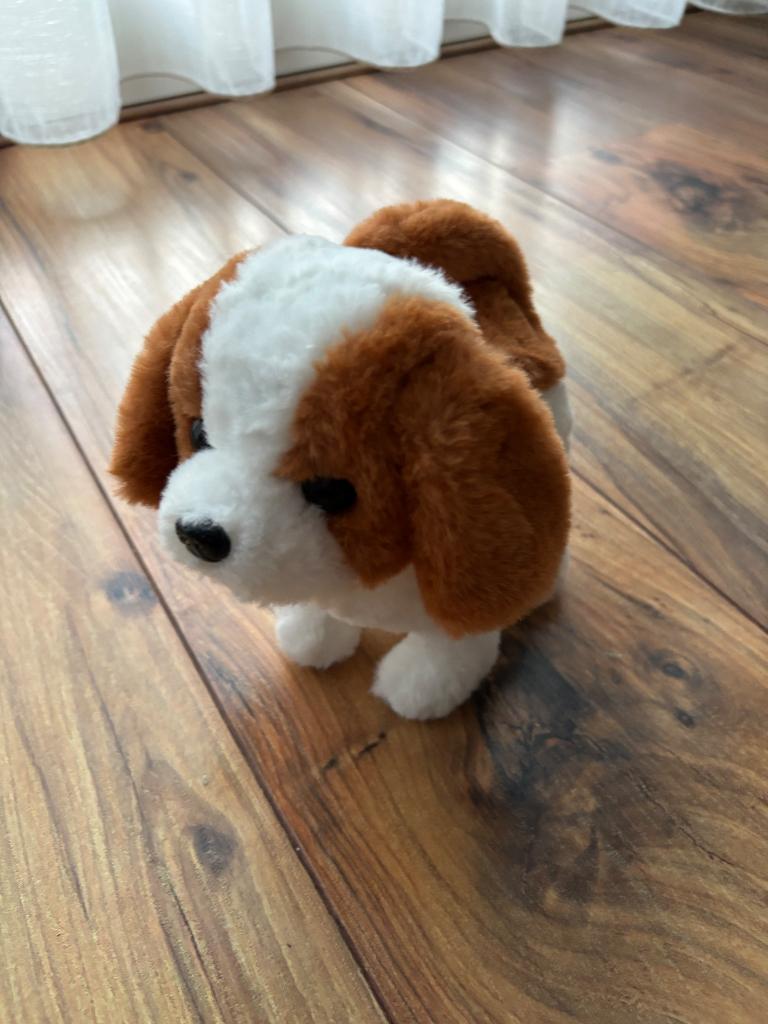 Hondje met batterij blaft en loopt zgan, Ophalen, Zo goed als nieuw, Hond