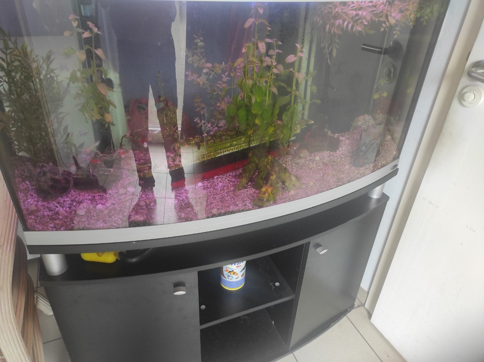 Groot aquarium, Ophalen, Inclusief vissen, Gebruikt, Gevuld zoetwateraquarium