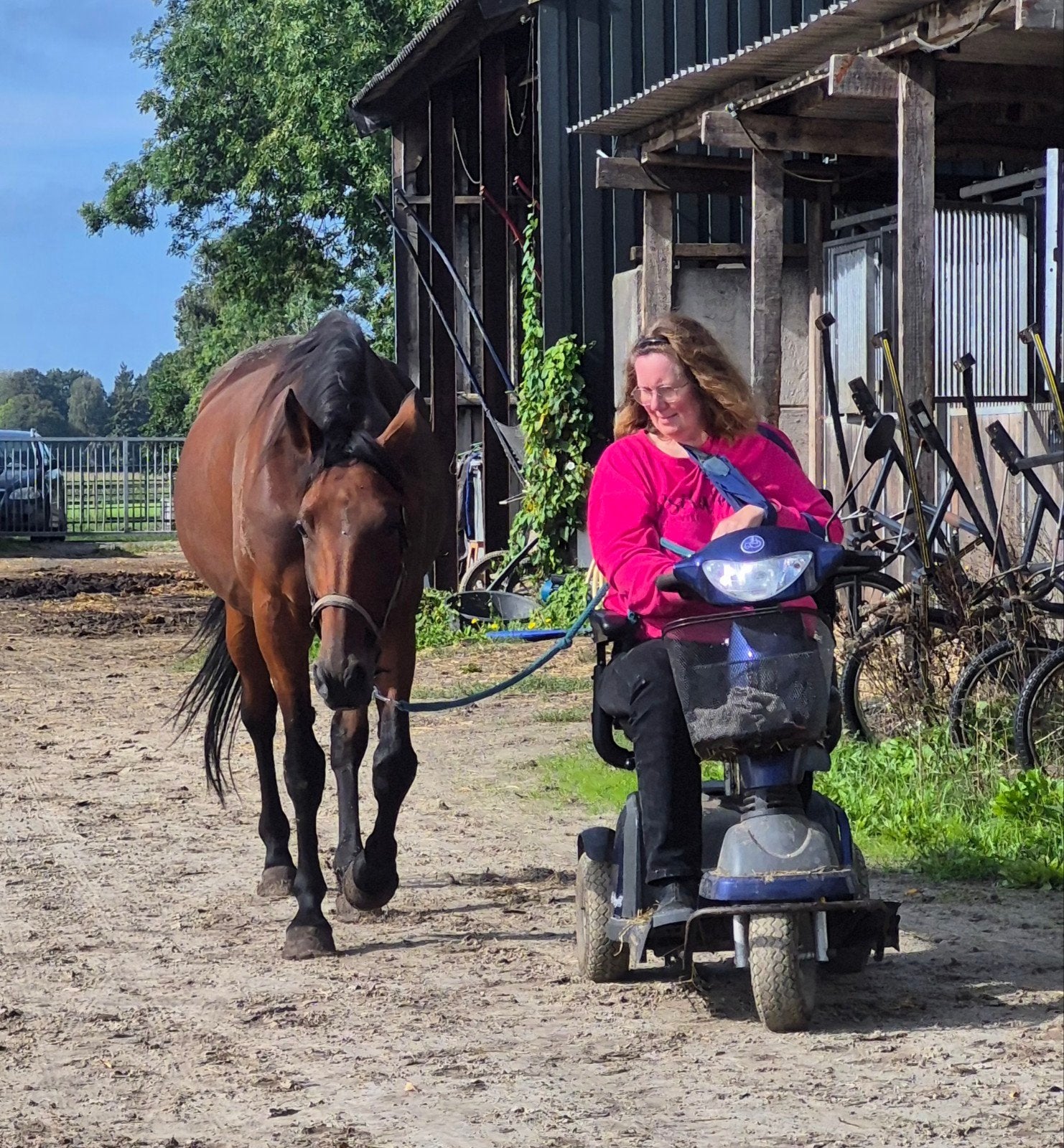 Lieve 10jarige recreatie/weidemaatje merrie.1.59 hoog, Merrie, Minder dan 160 cm, Recreatiepaard, 7 tot 10 jaar