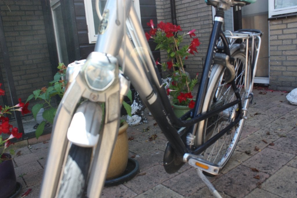 Te koop: Gazelle Gold Line dames fiets 28 inch D57cm, Ophalen, Gebruikt, Versnellingen, 56 cm of meer