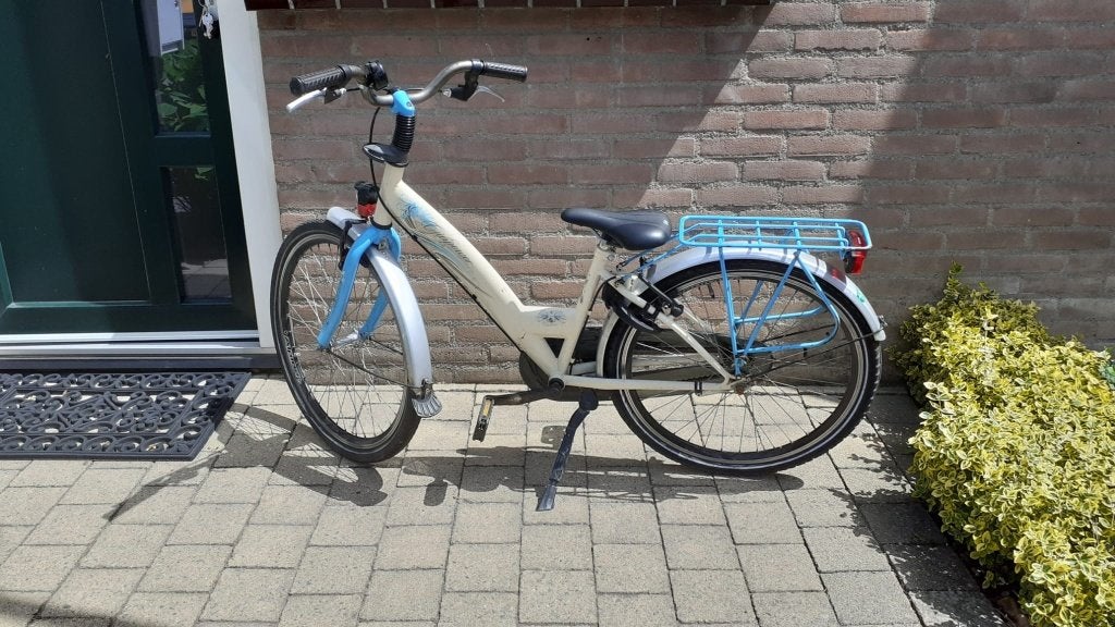 Kinderfiets, Fietsen en Brommers, Ophalen, Terugtraprem, Alpina, Handrem