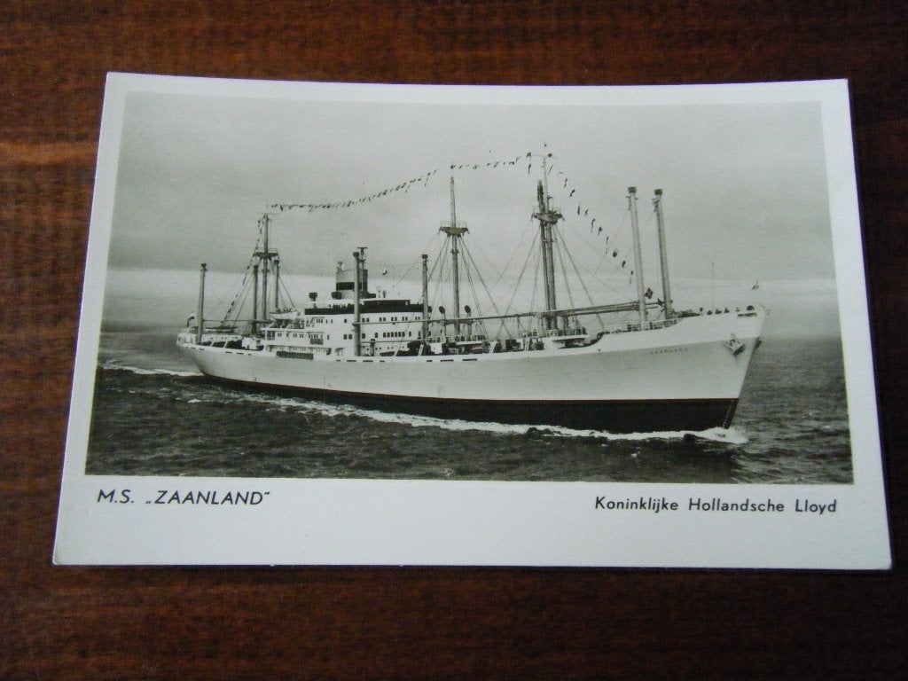 Z4 - Schip - m.s. Zaanland - Moo/Oud, Ophalen of Verzenden, Gebruikt, Kaart, Foto of Prent