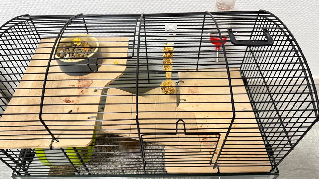 Mooie hamster met zijn kooi, Dieren en Toebehoren, Kooi, Minder dan 75 cm, Zo goed als nieuw, Hamster