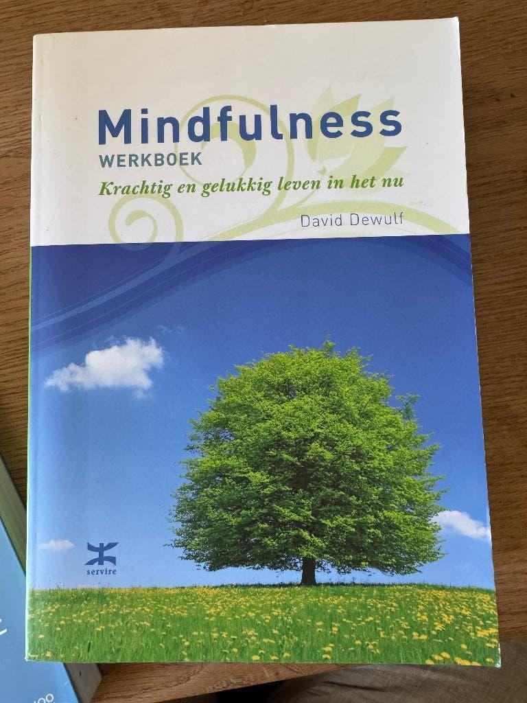 Mindfulness, Ophalen of Verzenden, Zo goed als nieuw, David Dewulf
