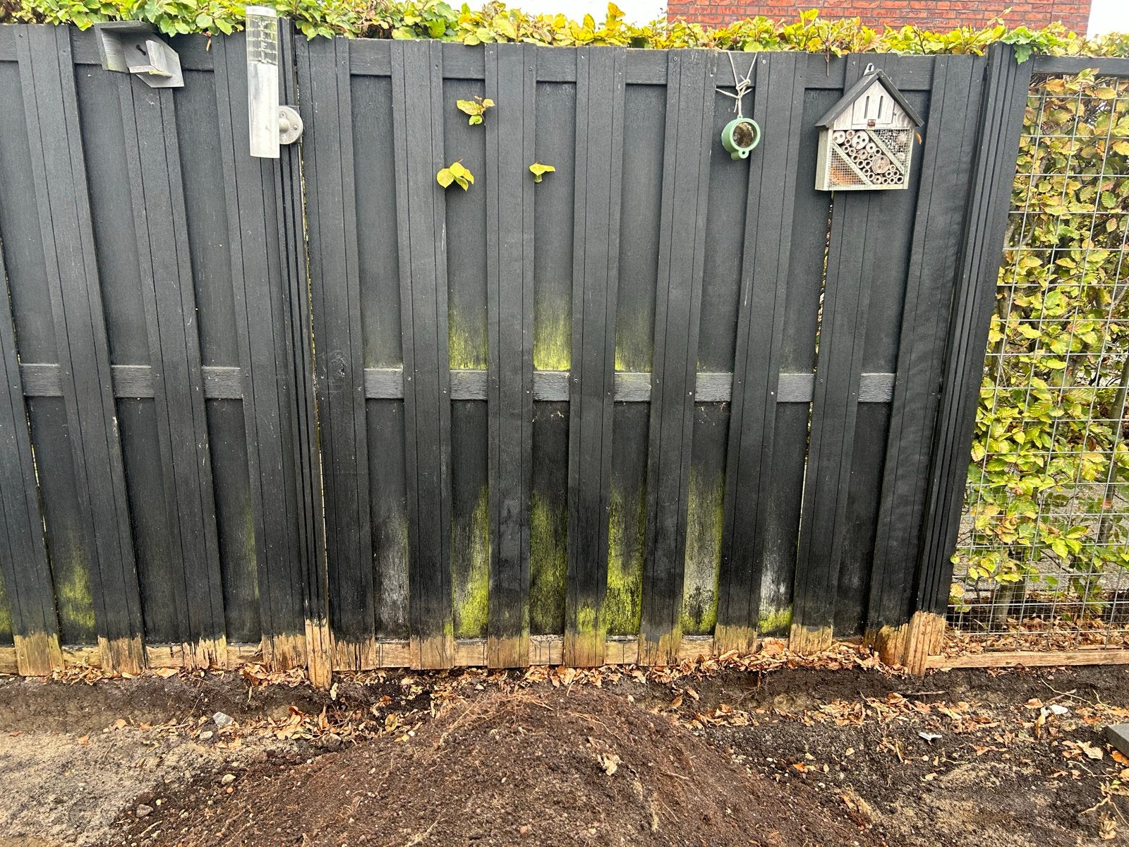 Gebruikte Zwartgebeitste schuttingdelen en gaaspanelen, Tuin en Terras, Ophalen, 6 meter of meer, Hout, 1 tot 2 meter