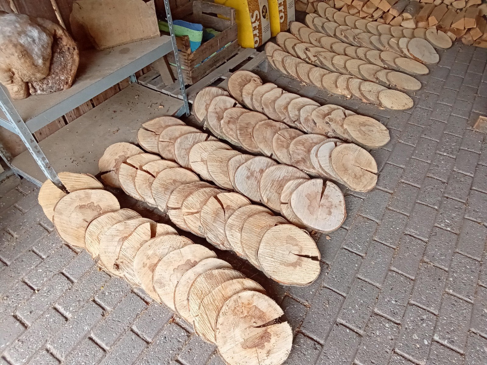 Boomschijven, houtschijven, 100 stuks, beuken & essen hout, Ophalen, Nieuw, Hout, Knutselmateriaal