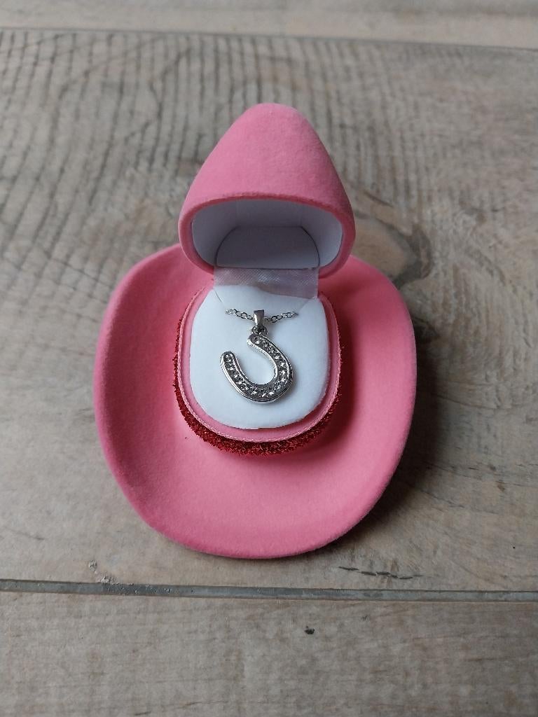 Zilveren ketting met hoefijzer in leuk doosje NIEUW, Met hanger, Nieuw, Ophalen of Verzenden, Zilver