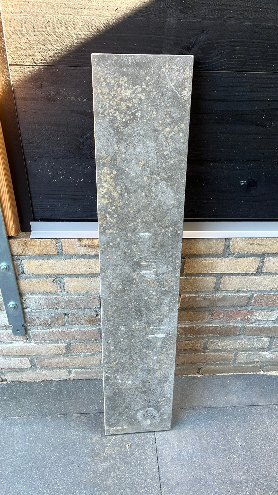 Natuurstenen vijverrand 20x3x100, Ophalen, Zo goed als nieuw
