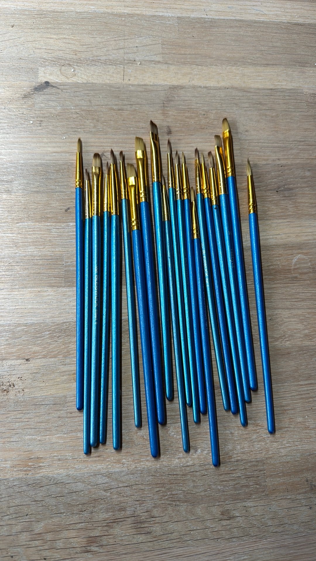 van bleiswijck penselen set, Ophalen of Verzenden