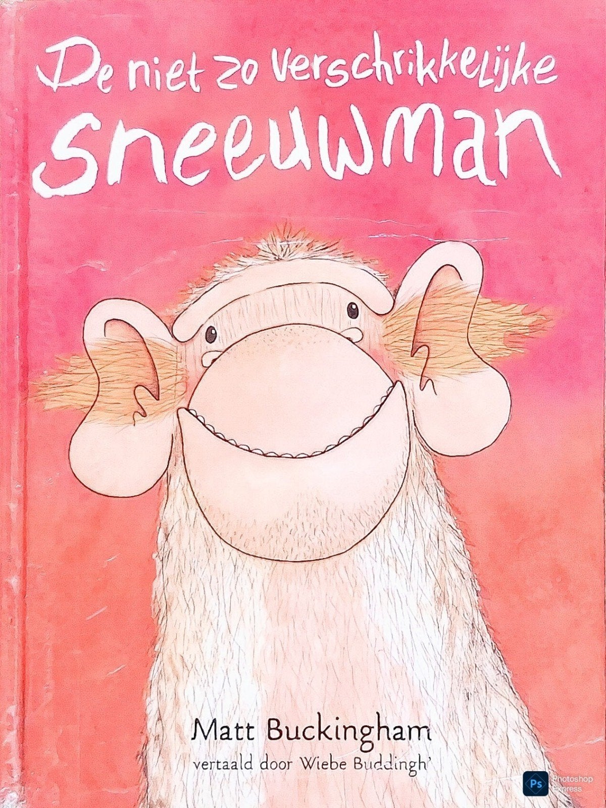 De Niet Zo Verschrikkelijke Sneeuwman, Gelezen, Matt Buckingham., Fictie algemeen, Jongen of Meisje