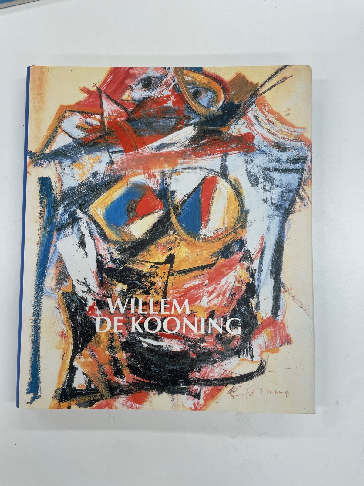 Willem de Kooning - Kunstboek over zijn schilderijen, Ophalen, Zo goed als nieuw, Schilder- en Tekenkunst