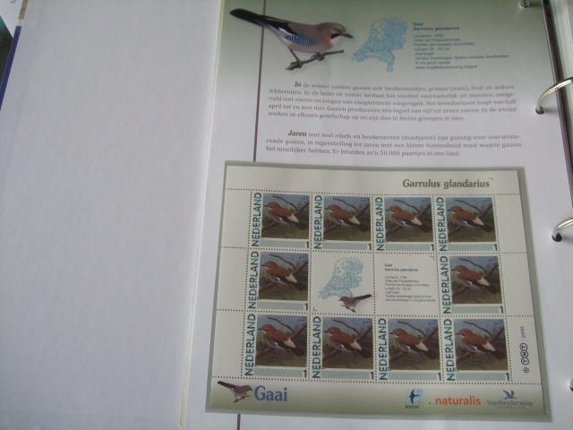 Prachtig vel vogels Vlaamse Gaai, Verzenden, Dier of Natuur