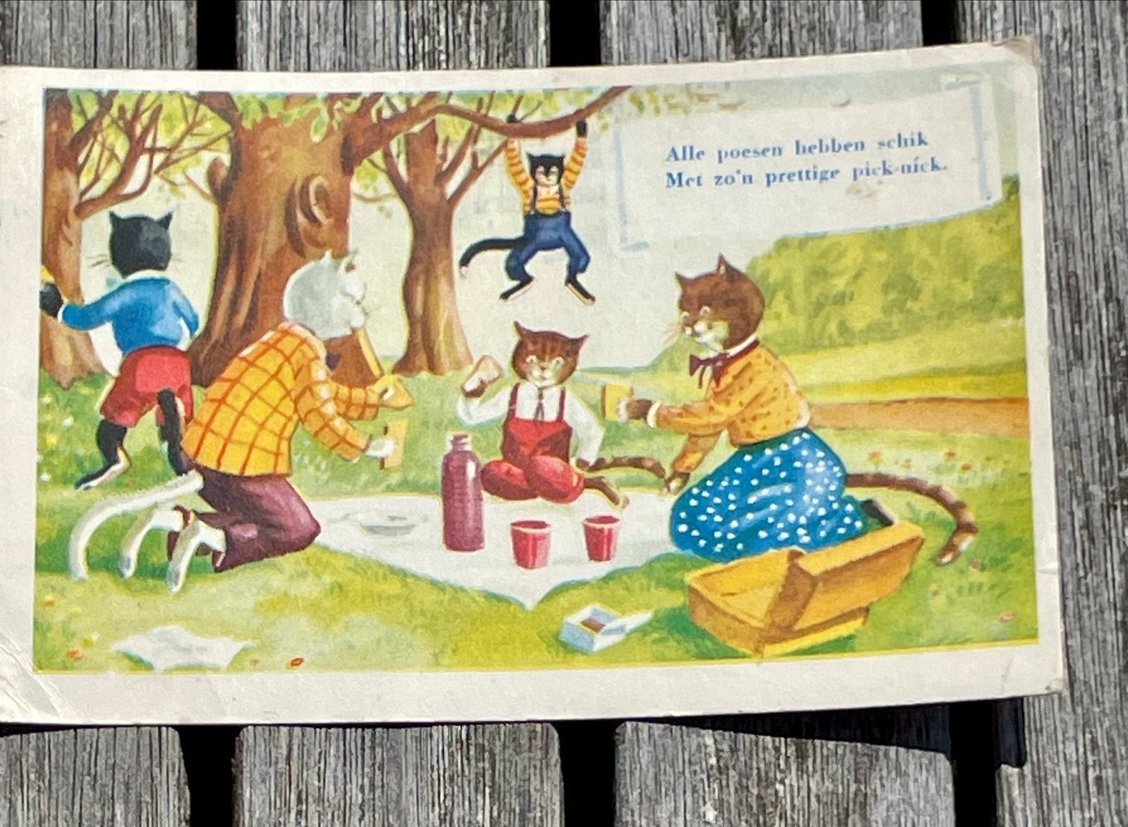 Vintage Ansichtkaart: Katten Picknick - 'Alle poesen hebben, Ophalen of Verzenden, 1940 tot 1960, Gelopen
