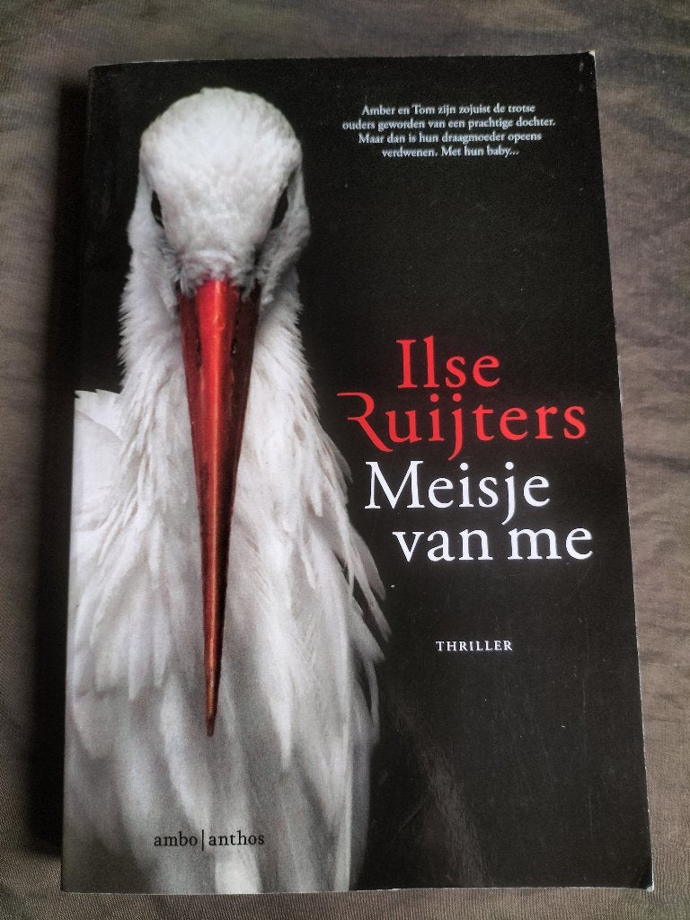 Ilse Ruijters - Meisje van me, Ophalen of Verzenden, Zo goed als nieuw, Ilse Ruijters, Nederland