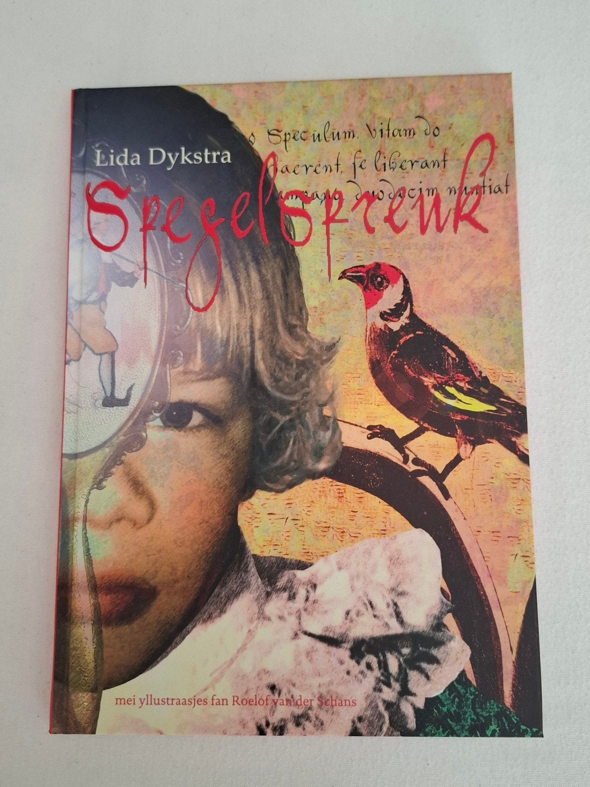 Spegelspreuk: Fries boek van Lida Dykstra, Boeken, Lida Dykstra, Ophalen of Verzenden, Zo goed als nieuw, Nederland