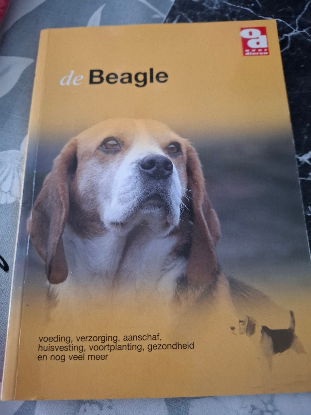 De Beagle: Voeding, Verzorging, Aanschaf en Meer, Ophalen of Verzenden, Zo goed als nieuw, Honden, Onbekend