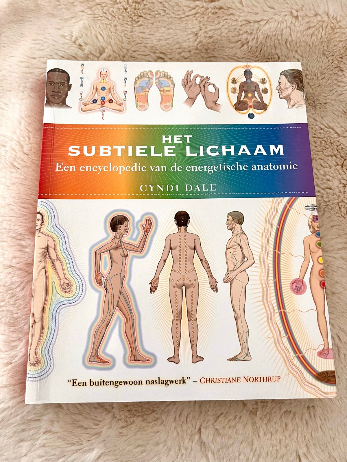 Het Subtiele Lichaam: Energetische Anatomie Encyclopedie, Boeken, Ophalen of Verzenden, Zo goed als nieuw, Spiritualiteit algemeen