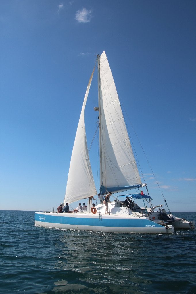 Te huur prachtige Catamaran in de Algarve, Ophalen of Verzenden, Gebruikt