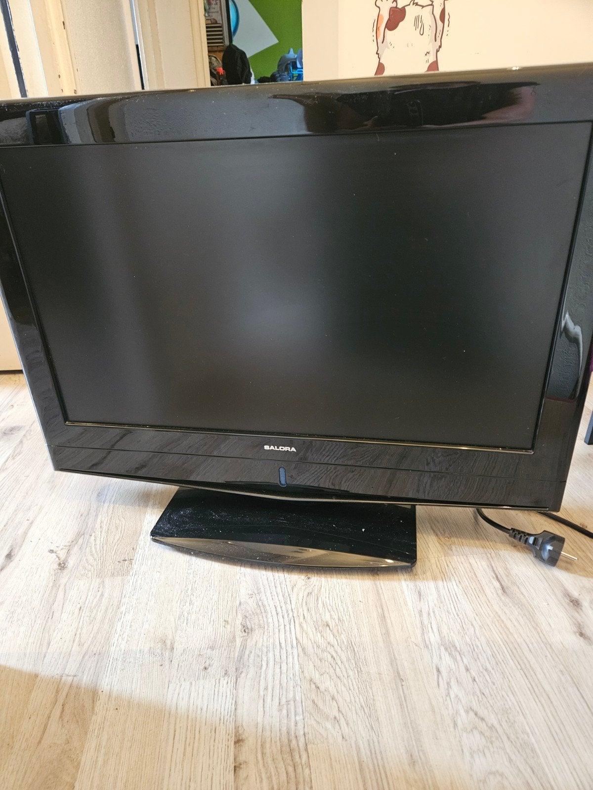 Salora TV - Gebruikt, goede staat, Gebruikt, 50 Hz, 60 tot 80 cm, Ophalen