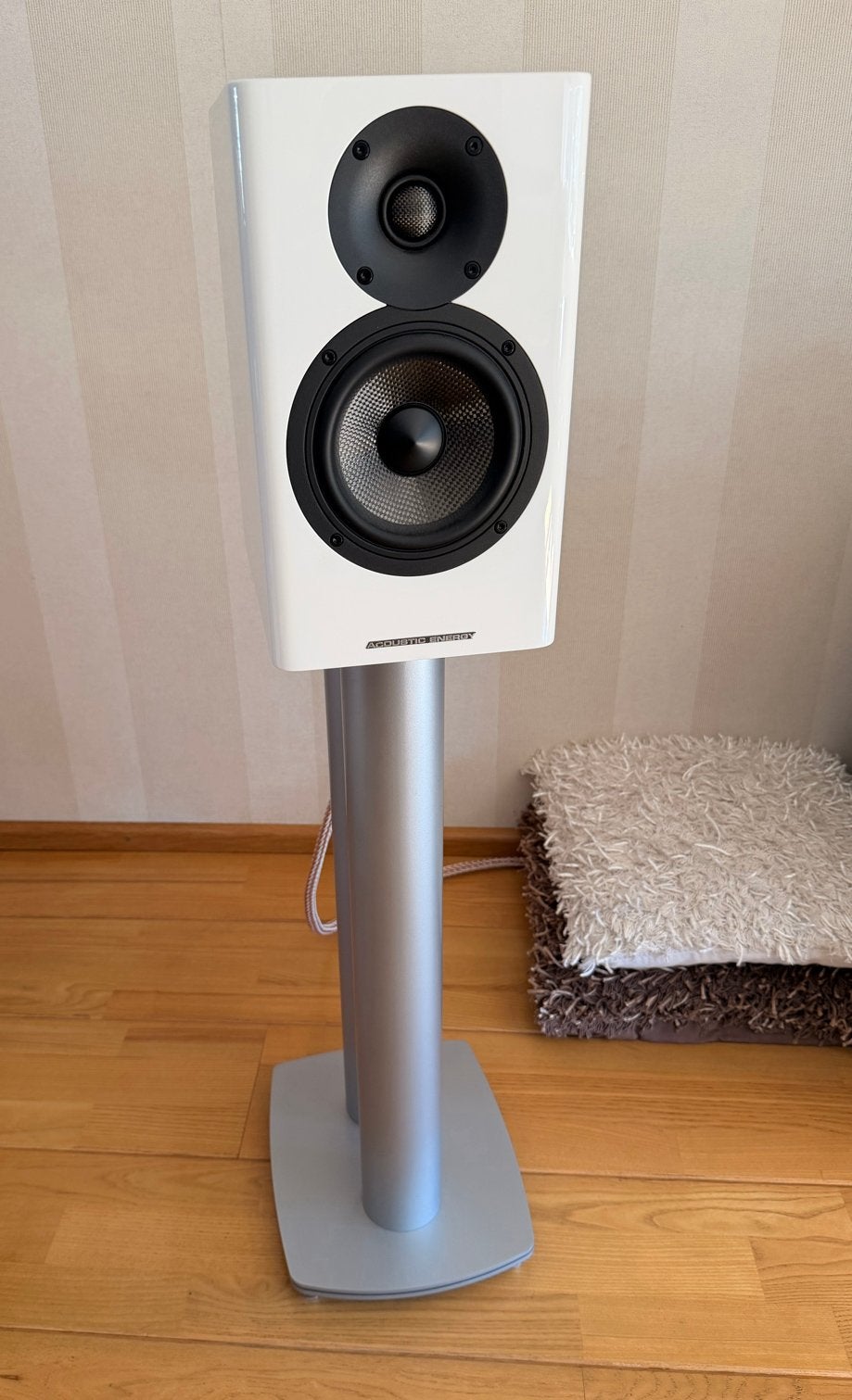 NIEUW!! Acoustic Energy AE500 Gloss White Luidspreker, Nieuw, Ophalen of Verzenden, Basreflex, Boekenplank luidspreker