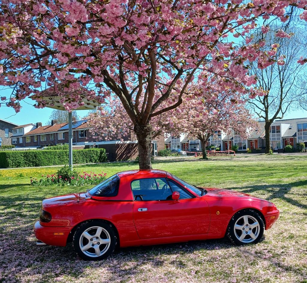 Mazda MX-5 1.6 U9 1991 Rode sportauto, cabrio, Auto's, Mazda, Achterwielaandrijving, Zwart, 4 cilinders, Cabriolet