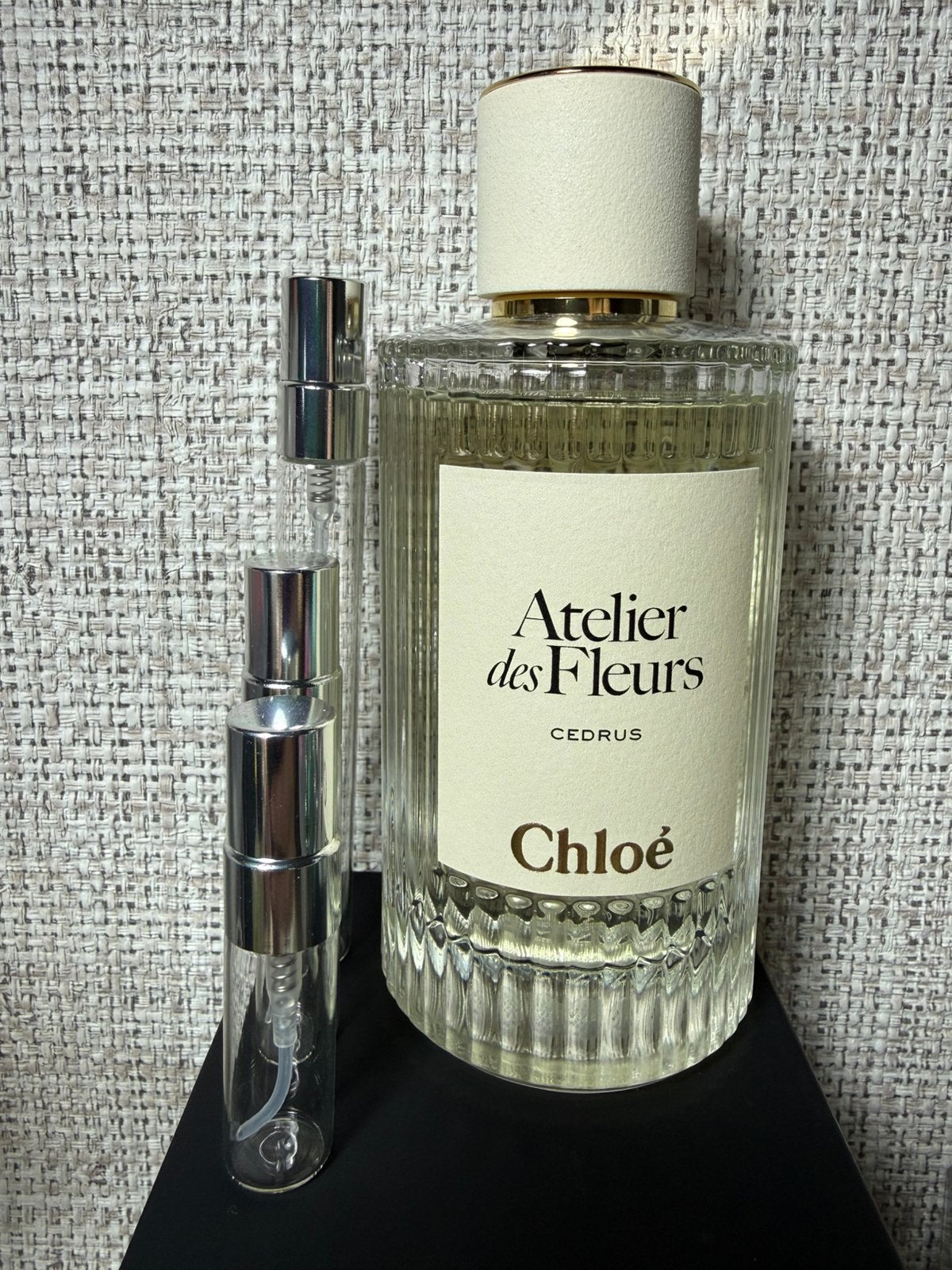 Chloe Atelier des Fleurs Cedrus, Ophalen of Verzenden, Nieuw