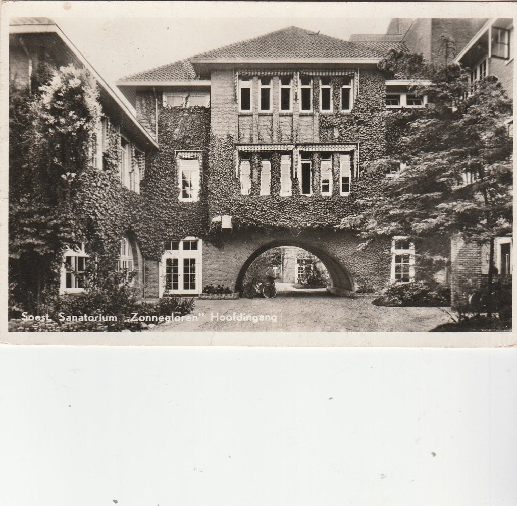 soest- zonnegloren, Ophalen of Verzenden, 1940 tot 1960, Utrecht