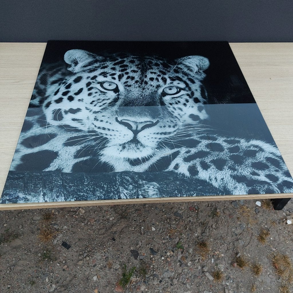 Glazen foto luipaard, Huis en Inrichting, Ophalen, Zo goed als nieuw, Schilderij, 75 tot 100 cm