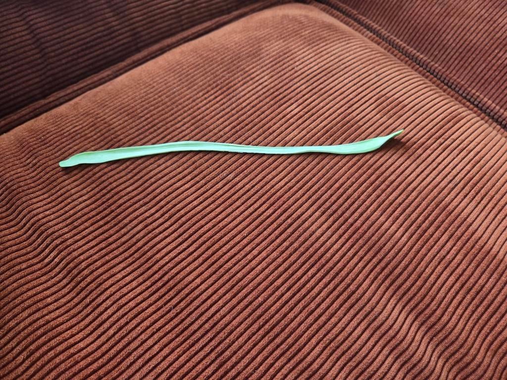 Superworm, Amfibie, 0 tot 2 jaar