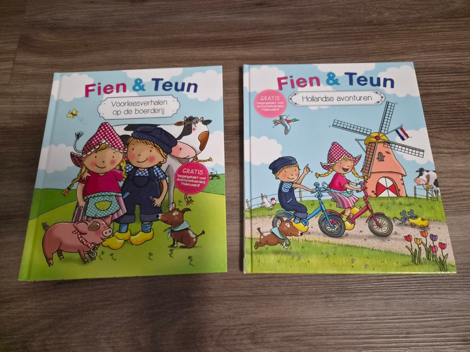 Twee boeken van Fien & Teun, Ophalen of Verzenden, Zo goed als nieuw, 2 tot 3 jaar