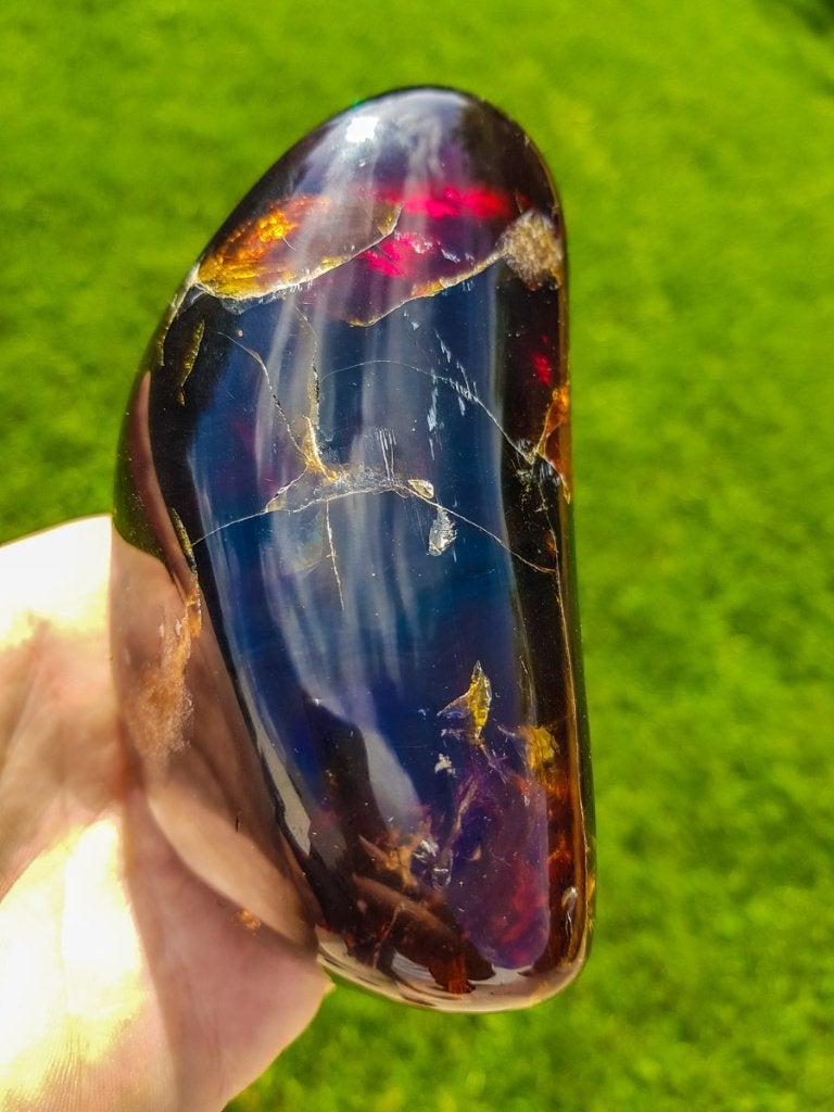 amber, Ophalen of Verzenden, Fossiel