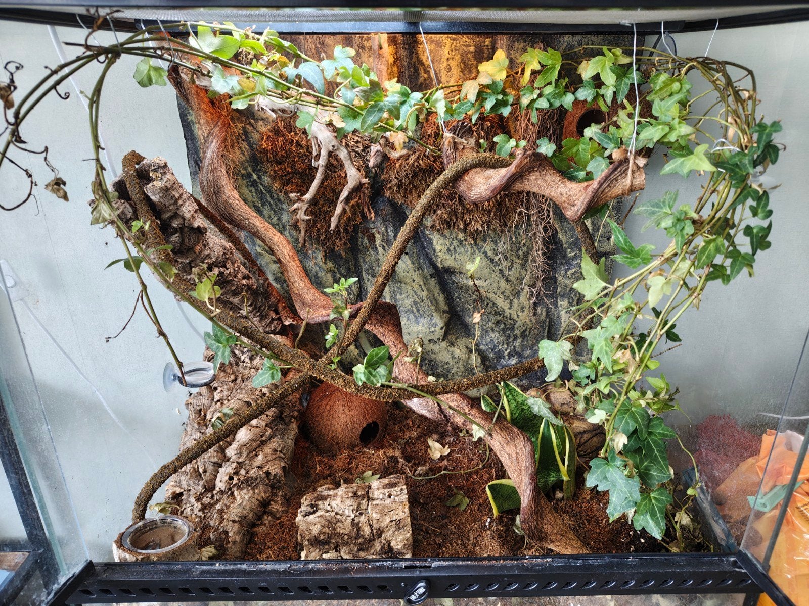 wimper gekko icl terrarium, Ophalen, Zo goed als nieuw