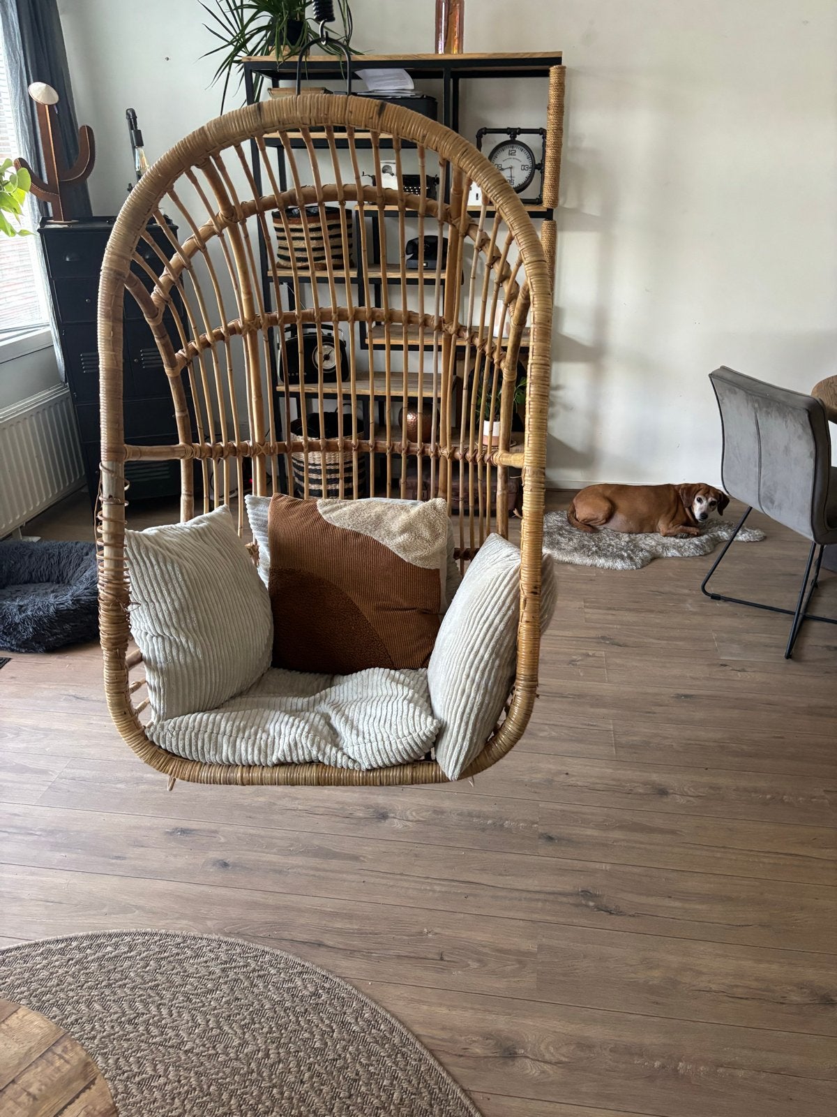Rotan hangstoel met creme kleurige sierkussens, Huis en Inrichting, Stoelen, Gebruikt, Eén, Riet of Rotan, Bruin, Ophalen