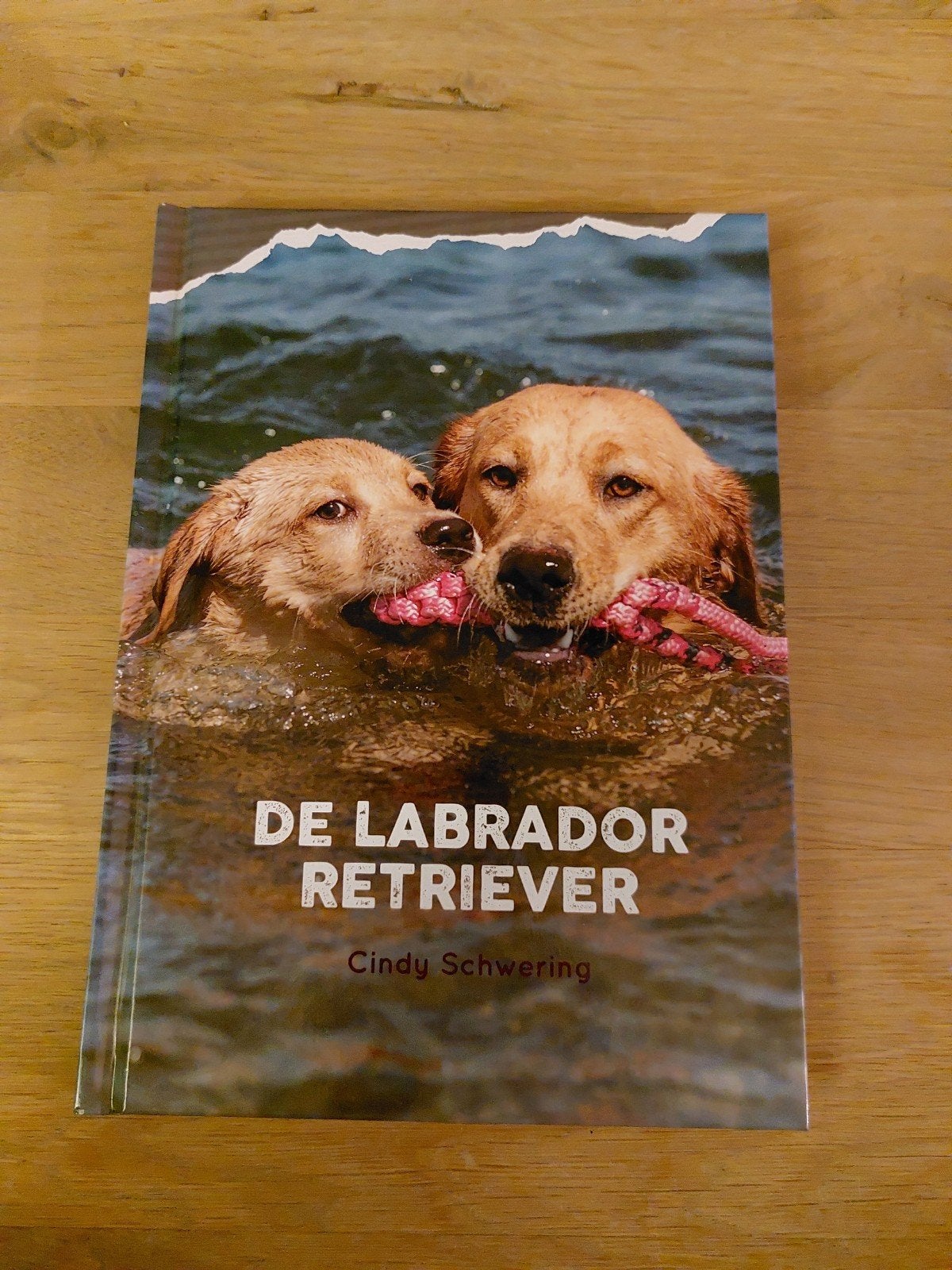 De Labrador Retriever - Cindy Schwering, Ophalen of Verzenden, Nieuw, Honden, Cindy Schwering