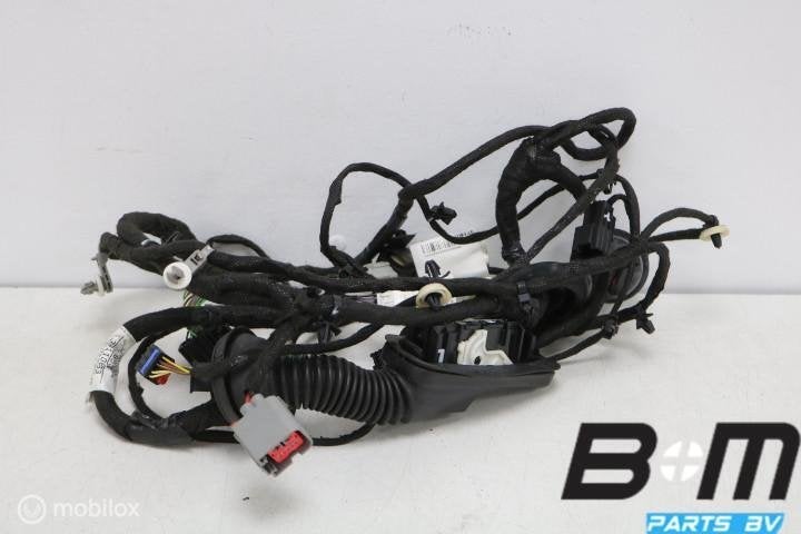 Kabelboom deur linksvoor Opel Insignia 39110853, Auto-onderdelen, Gebruikt