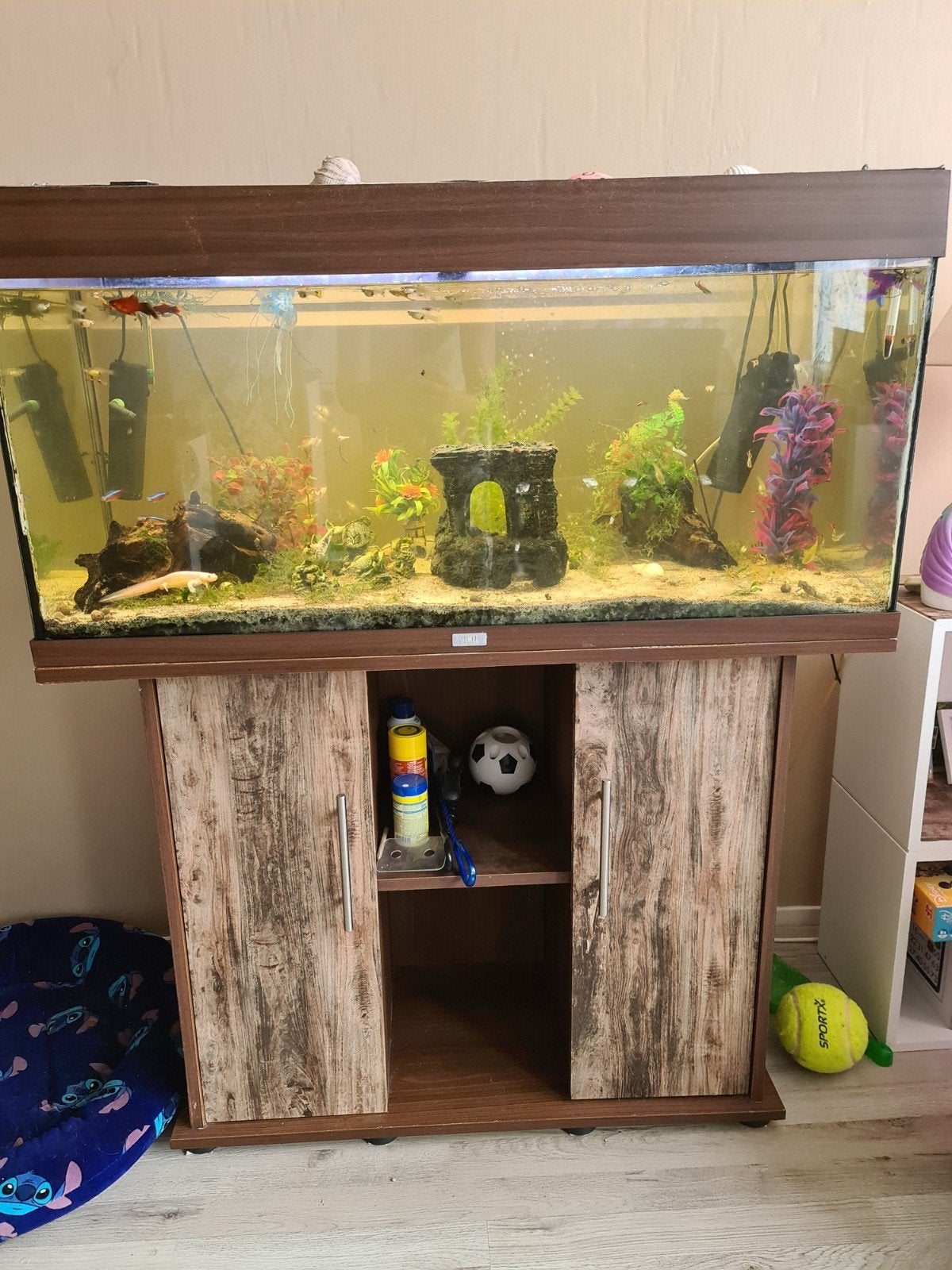 aquarium compleet met inhoud te koop., Dieren en Toebehoren, Ophalen, Gebruikt, Gevuld zoetwateraquarium, Inclusief vissen
