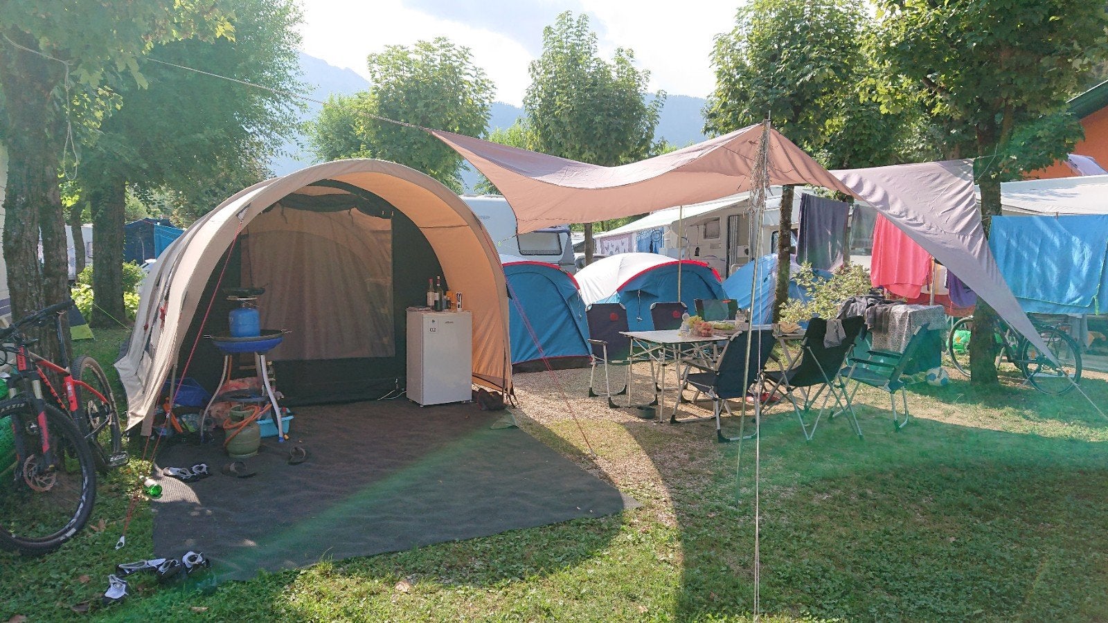 Te koop Brilduiker.  Meer  foto’s volgen spoedig, Ophalen, Gebruikt, Tot en met 3