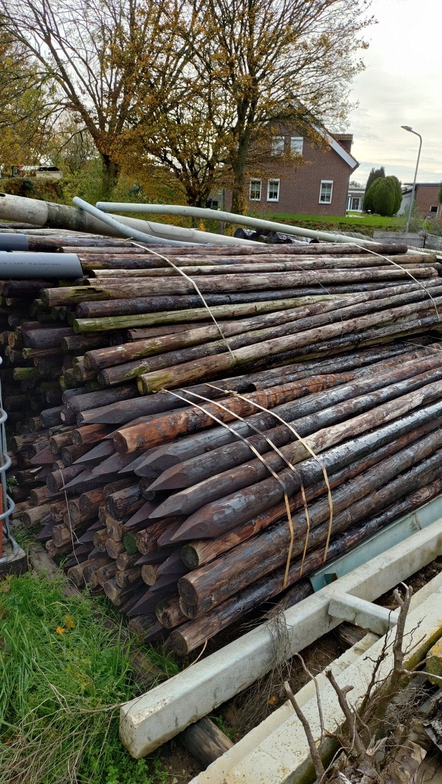 Gecreosoteerde palen, Ophalen of Verzenden, 250 cm of meer, Palen