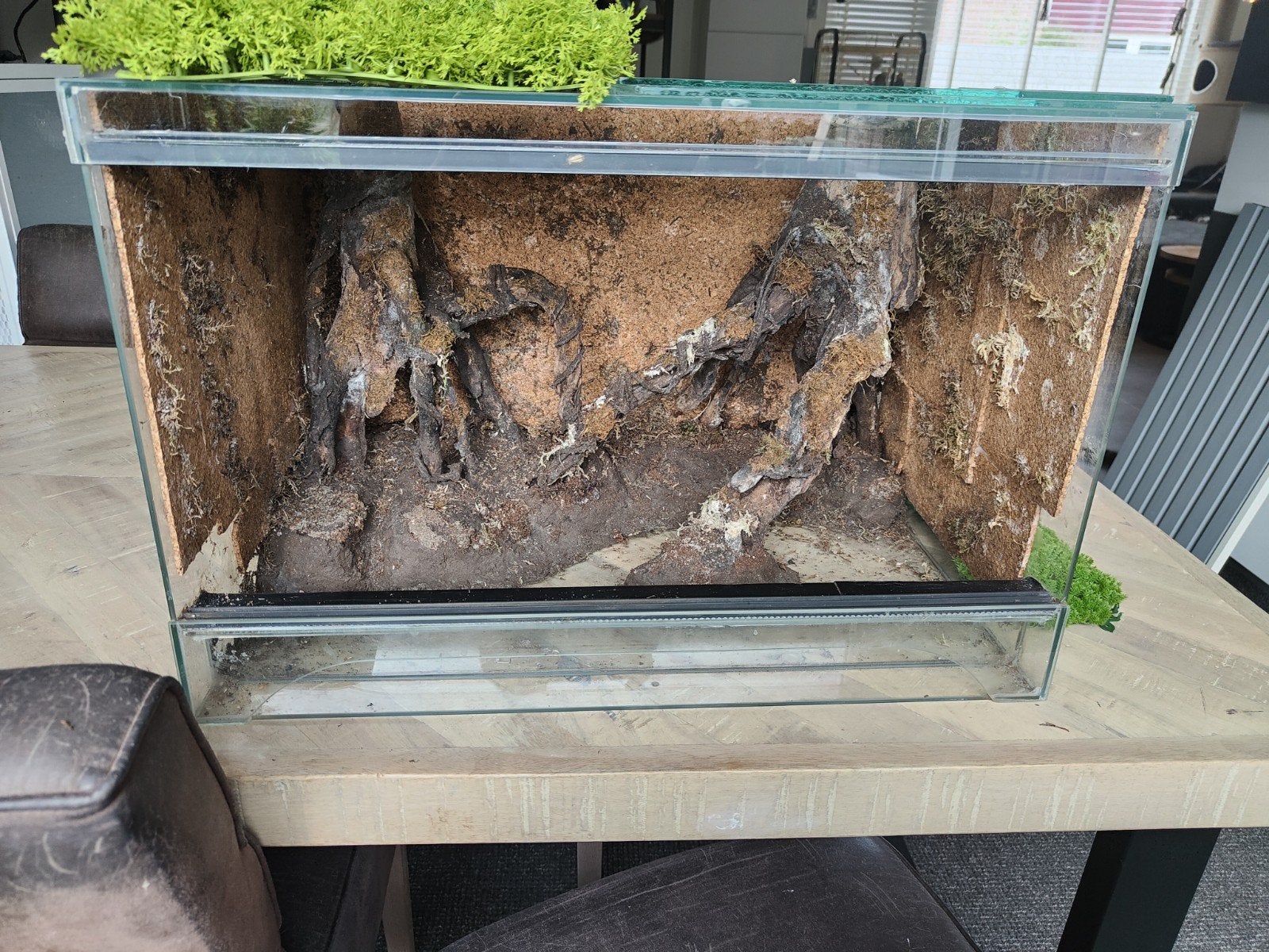 Terrarium 60x40x40 met kurk zijkanten en elastopur mangrove, Dieren en Toebehoren, Reptielen en Amfibieën | Toebehoren, Ophalen