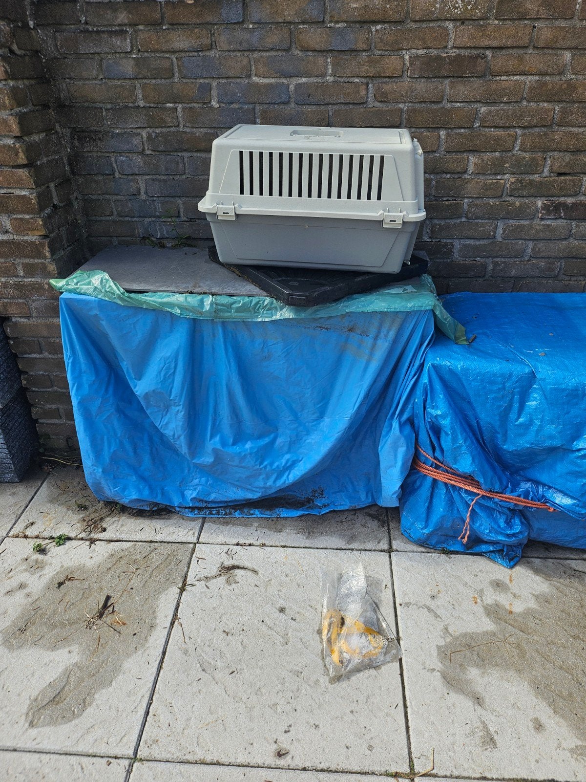 0687566232, Ophalen of Verzenden, Nieuw