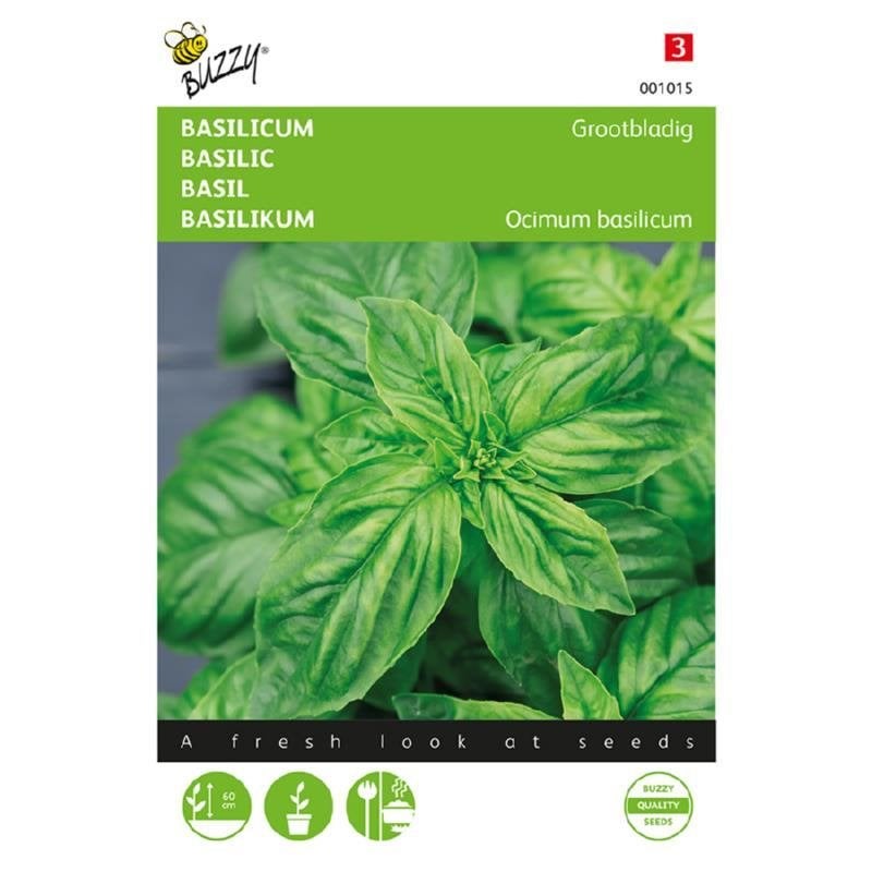 Buzzy Seeds Basilicum Grootbladig kruidenzaden - nieuw, Ophalen of Verzenden, Voorjaar, Volle zon, Zaad
