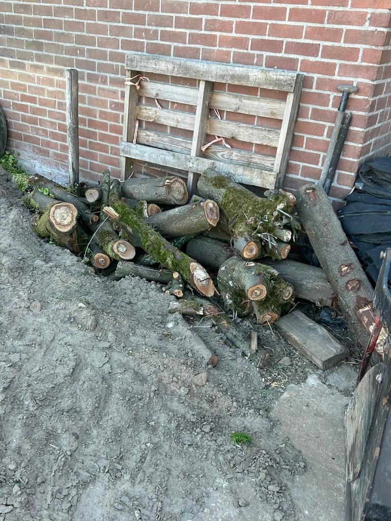 Haatdhout stamhout, Tuin en Terras, Haardhout, Minder dan 3 m³, Ophalen